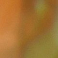 Bokeh-336